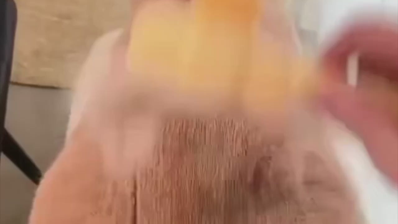 Cepillo Quitapelos para Perros y Gatos